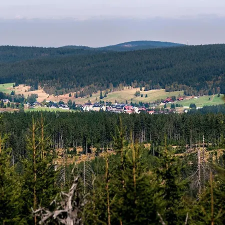 Kilian Javor