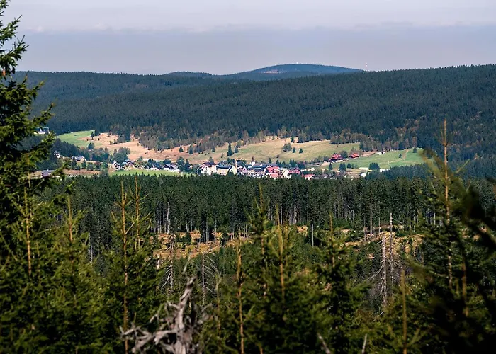 Kilian Javor